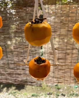 干し柿 干し柿,柿,果物の写真素材