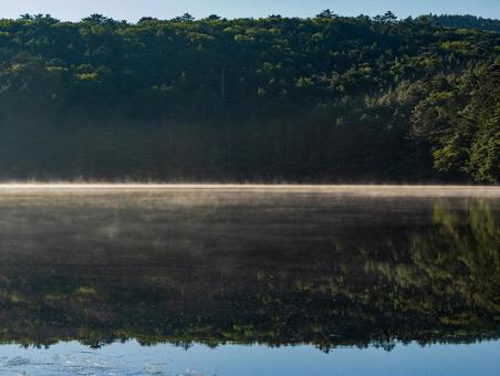 白駒池の朝もや 白駒池,朝もや,北八ヶ岳の写真素材