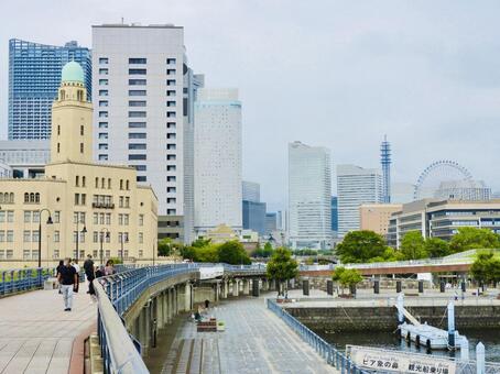 山下臨港線プロムナードから見る横浜の景色 横浜,山下臨港線プロムナード,横浜税関本関庁舎の写真素材