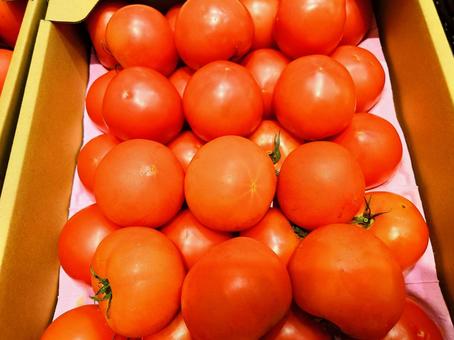 新鮮トマトの特売イメージ 新鮮トマトの特売イメージの写真