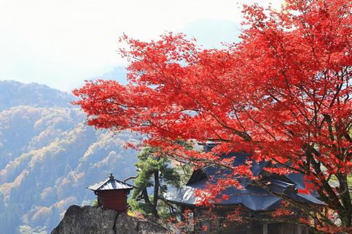 秋の山寺（納経堂と真っ赤な紅葉） 山寺,納経堂,紅葉の写真素材