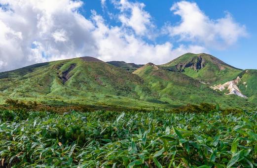 秋田駒ヶ岳 緑のササ原と初秋の山 初秋,秋田駒ヶ岳,秋田県の写真素材