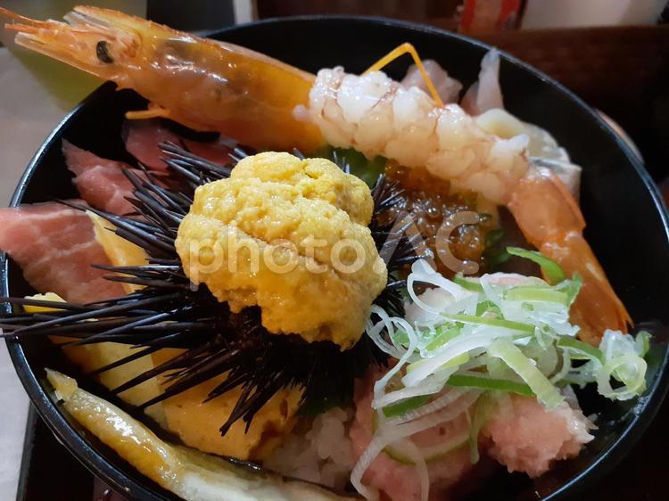海鮮丼　市場で朝食 海鮮丼,定食,うにの写真素材