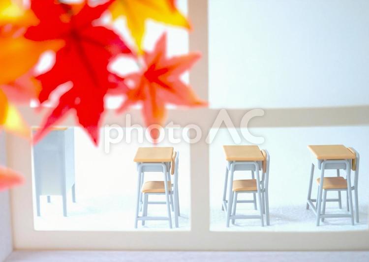 秋の教室（窓） 教室,学校,机の写真素材