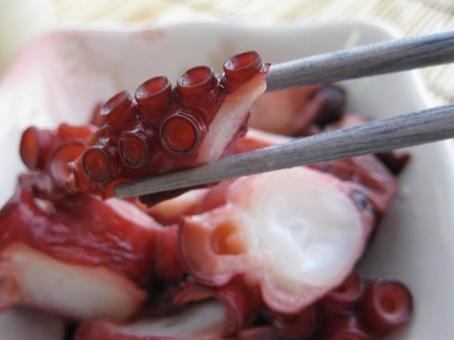 たこ煮 蛸 タコ煮物 蛸料理 柔らか煮 たこ煮 蛸 タコ煮物 蛸料理 柔らか煮 たこ煮,蛸,タコ煮物の写真素材
