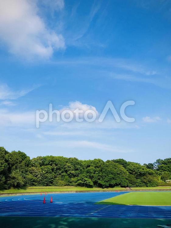 夏の青空と陸上競技場（縦型） 陸上競技場,トラック,空の写真素材
