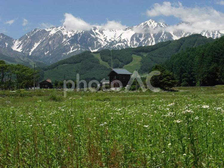 新緑の春と長野県白馬村の風景004 新緑,田舎風景,白馬村の写真素材