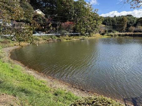 晩秋の小坂田池（長野県塩尻市） 小坂田池,池,pondの写真素材