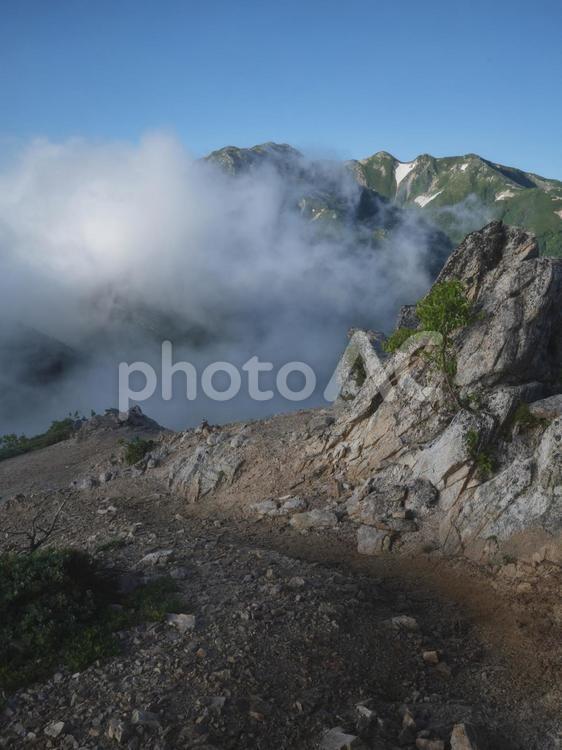 朝の稜線と登山道 雲海,雲,朝焼けの写真素材