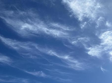 秋の雲 秋の雲の写真