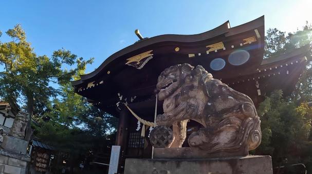 埼玉県行田市行田　 行田八幡神社　狛犬 埼玉,行田市行田,行田八幡神社の写真素材