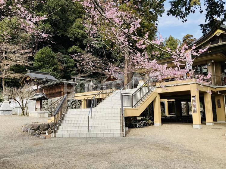 高麗神社　階段 高麗神社,埼玉県日高市,神社の写真素材