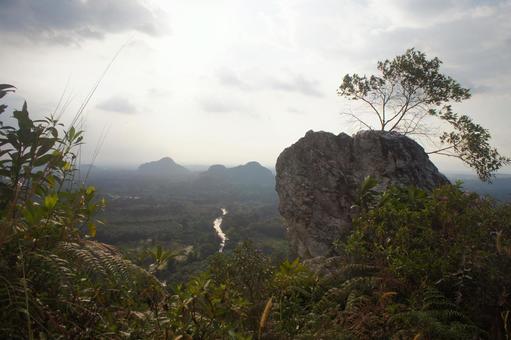 岩 岩の写真