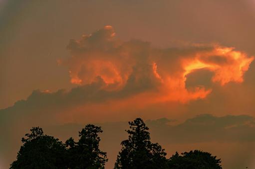 夕焼け色に染まる夏の雲 夕焼け色に染まる夏の雲 風景,自然,空の写真素材