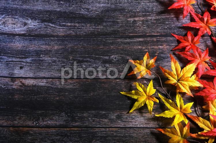 紅葉の背景素材〜木目背景3〜 紅葉,もみじ,かえでの写真素材