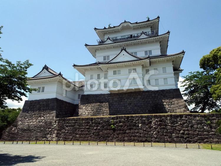 小田原城天守閣（復興天守） 小田原城,天守閣,小田原城址公園の写真素材