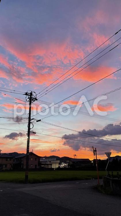 夕焼けと電柱 空,夕焼け,夕暮れの写真素材