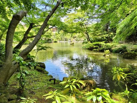 成田山新勝寺 成田山公園の池の畔 成田山新勝寺 成田山公園の池の畔の写真