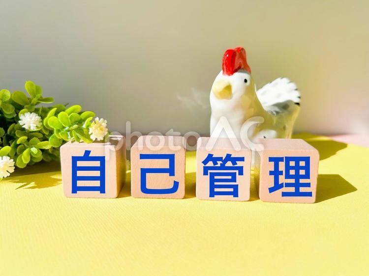自己管理 自己管理,管理,自律の写真素材