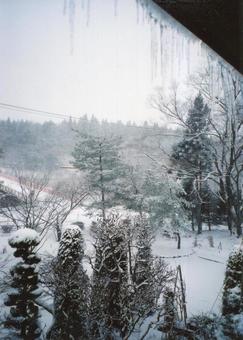 窓から見る雪景色01 窓から見る雪景色01 雪景色,雪化粧,つららの写真素材