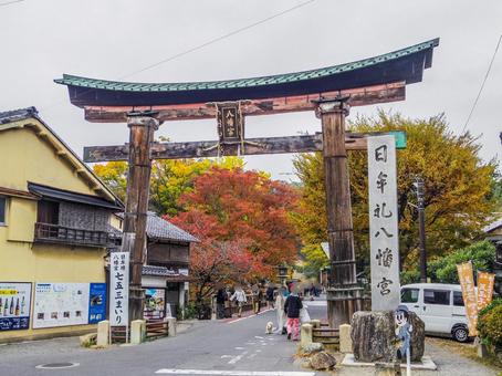 【滋賀県】近江八幡市・日牟禮八幡宮 日牟禮八幡宮,寺社仏閣,近江八幡の写真素材