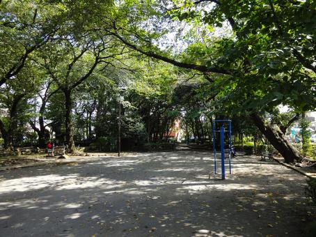 徳殿公園の憩い広場 徳殿公園,公園,広場の写真素材