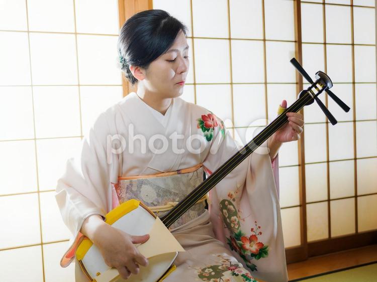 33：和服で三味線を演奏する女性 三味線,伝統芸能,和楽器の写真素材