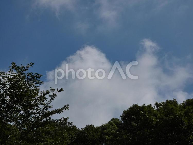青空と雲を見上げる02 空,自然,風景の写真素材