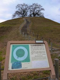 丸墓山古墳 古墳,丸墓山古墳,埼玉古墳群の写真素材