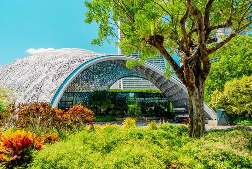 【シンガポール】マリーナベイサンズ 【シンガポール】マリーナベイサンズ シンガポール,植物園,ベイフロントの写真素材