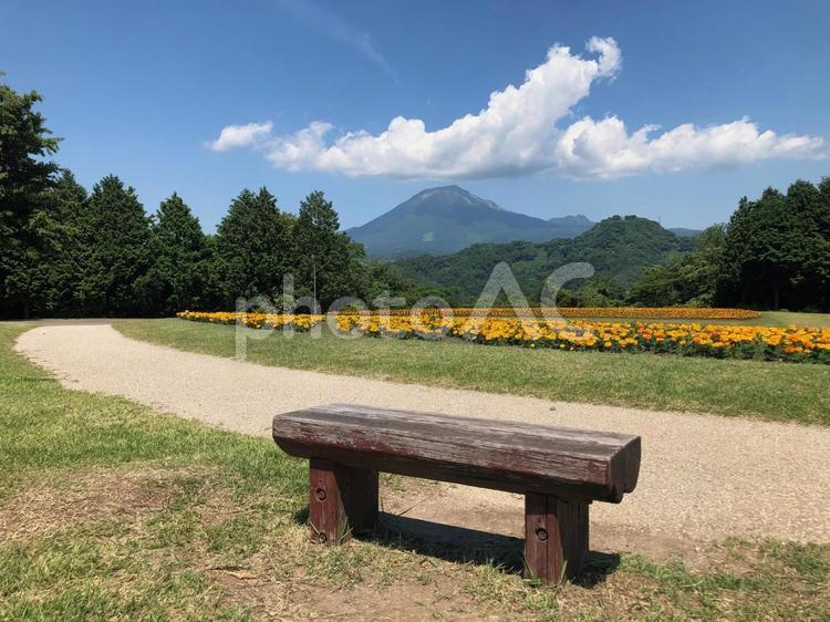 とっとり花回廊のベンチから見る大山 自然,風景,景色の写真素材