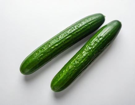 キュウリ 胡瓜 野菜 白背景 夏野菜 キュウリ 胡瓜 野菜 白背景 夏野菜の写真