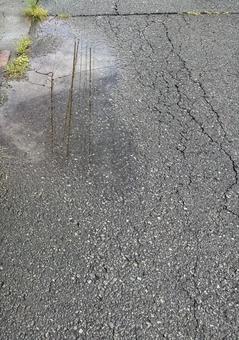 水たまり 水たまりの写真