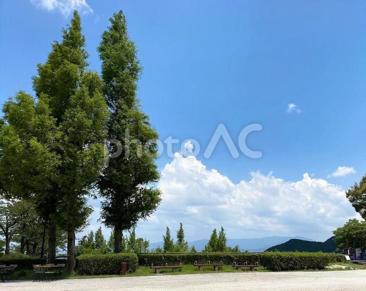 青空と樹木 牧場,夏,7月の写真素材