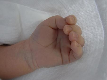 赤ちゃんの手 赤ちゃんの手の写真