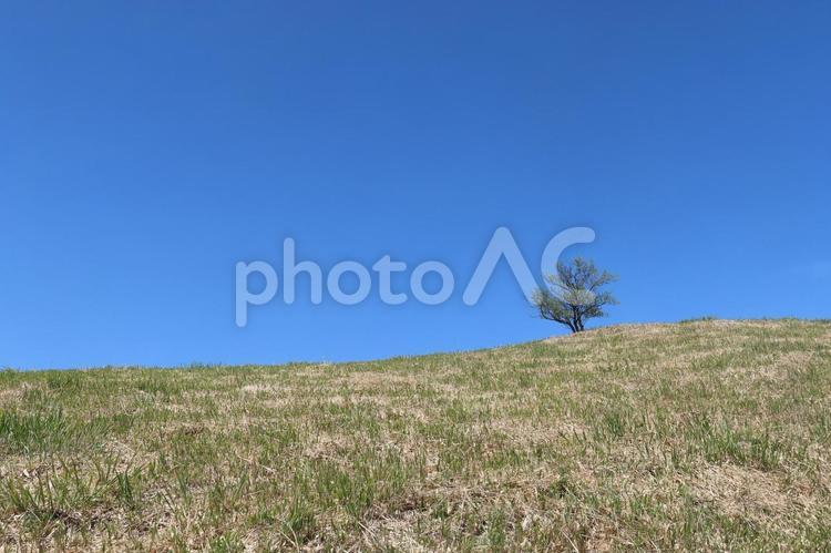 大和葛城山の風景 5月,春,初夏の写真素材