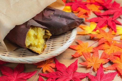 紅葉と焼き芋 (シルクスイート) 紅葉と焼き芋 (シルクスイート) 焼き芋,シルクスイート,さつまいもの写真素材