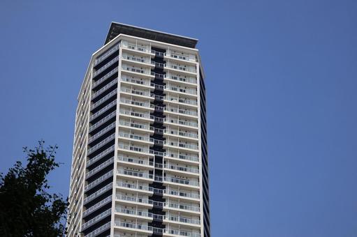 緑の木と超高層ビルと青空の街の風景 緑,木,超高層ビルの写真素材