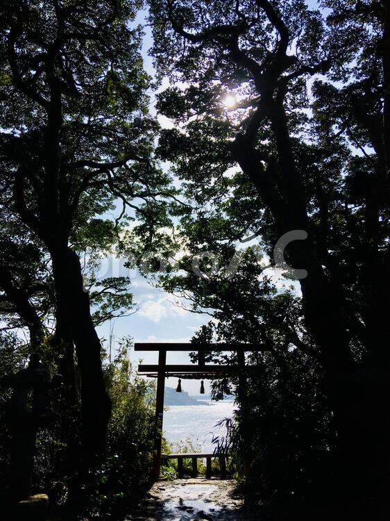 神ノ島の生い茂る緑 神の島,雄島,福井の写真素材