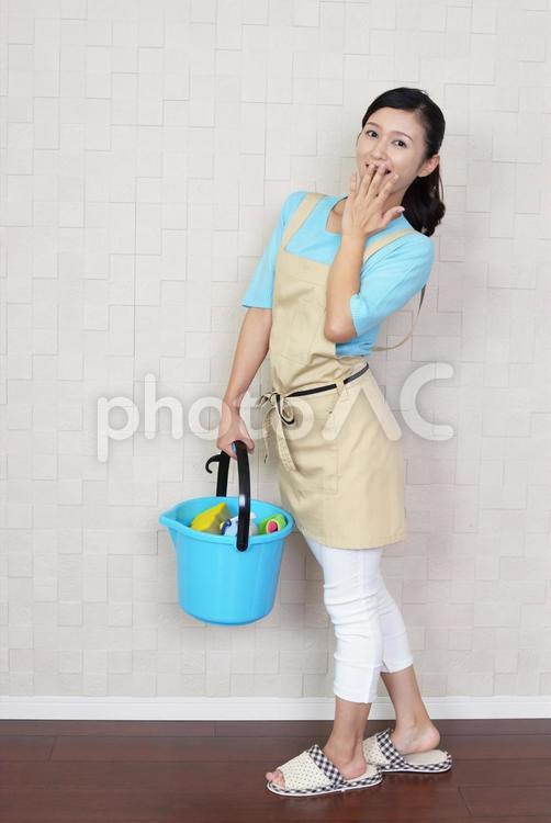 掃除用具を持つ笑顔の女性 女性,女,主婦の写真素材