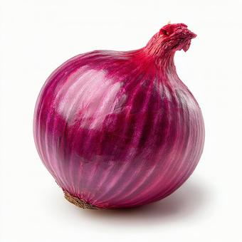 赤玉ねぎのクローズアップ 赤玉ねぎのクローズアップの写真