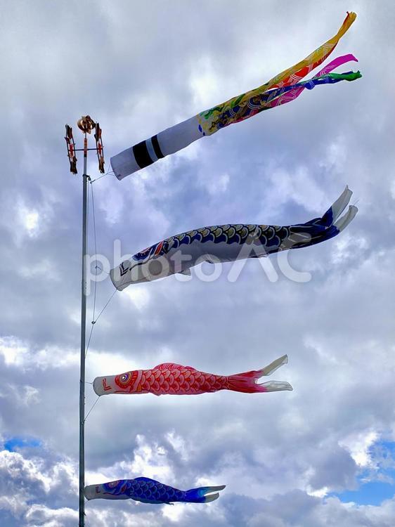雲とこいのぼり 鯉のぼり,子供の日,端午の節句の写真素材