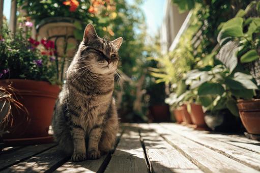 自然の中でくつろぐ猫の姿 自然の中でくつろぐ猫の姿の写真