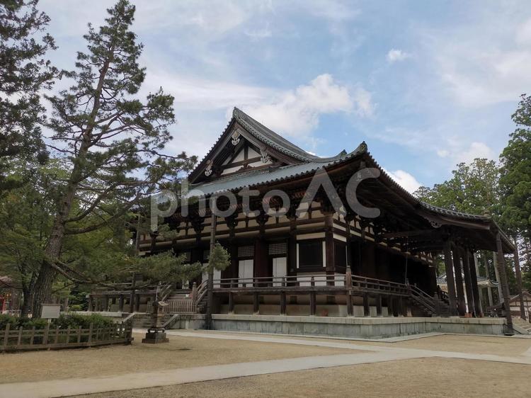 高野山　壇上伽藍　金堂 高野山,世界遺産,壇上伽藍の写真素材