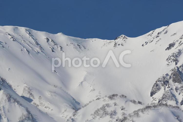 白銀の世界 白馬村,冬景色,北アルプスの写真素材