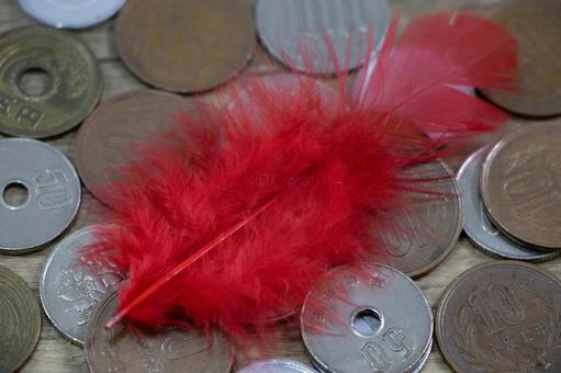 赤い羽 赤い羽,募金,小銭の写真素材