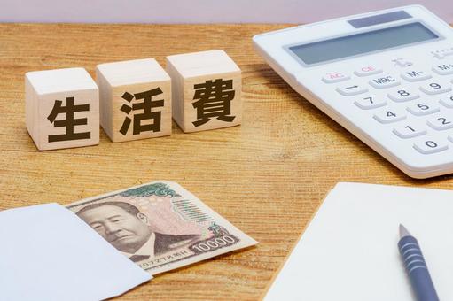 Photo, living expenses, wooden blocks, household management, 