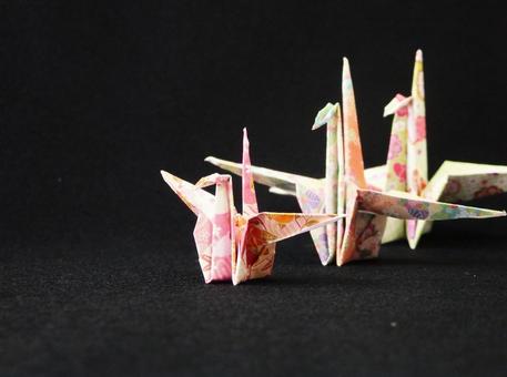 黒背景に金の水引 折鶴が語る和の心 黒背景に金の水引 折鶴が語る和の心 折鶴,水引,鶴の写真素材