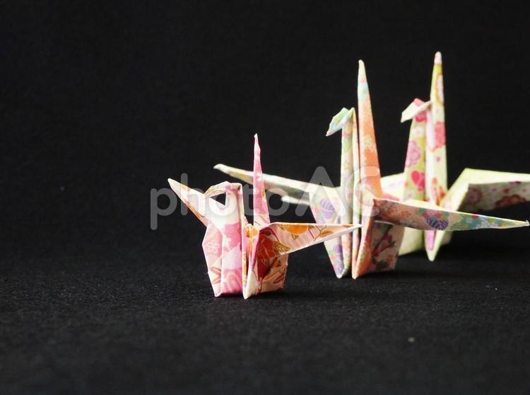 黒背景に金の水引　折鶴が語る和の心 お正月,背景,正月飾りの写真素材