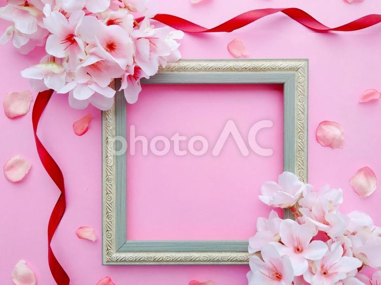 桜　春のイメージ　フレーム桜2 春,春のイメージ,3月の写真素材